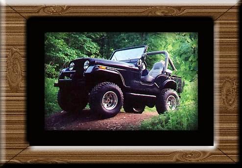 picjeep.jpg (59283 bytes)